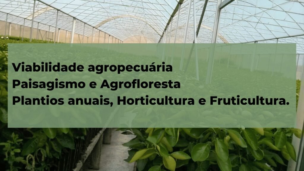 WhatsApp Image 2023-10-09 at 19.45.14