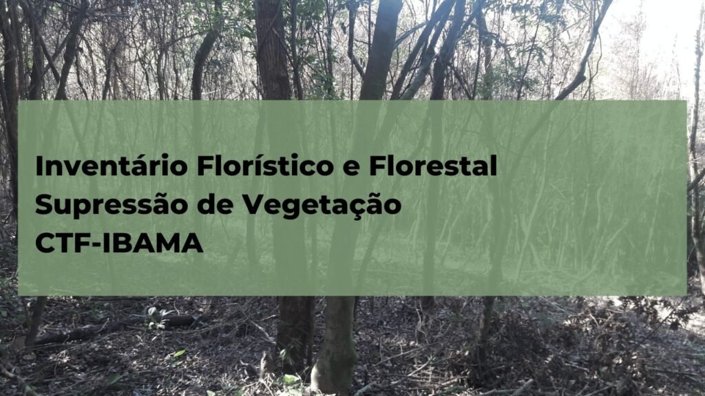 WhatsApp Image 2023-10-09 at 19.45.14 (3)