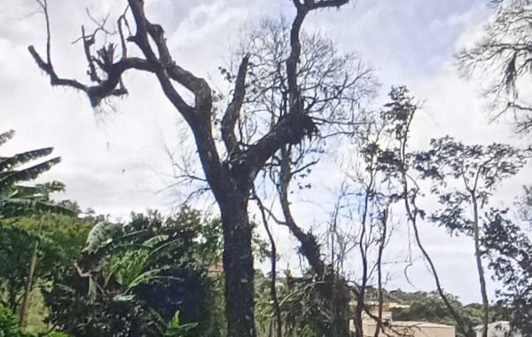 WhatsApp Image 2023-09-27 at 09.43.58